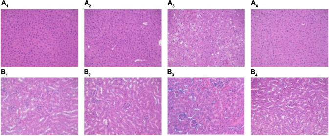 FIGURE 3