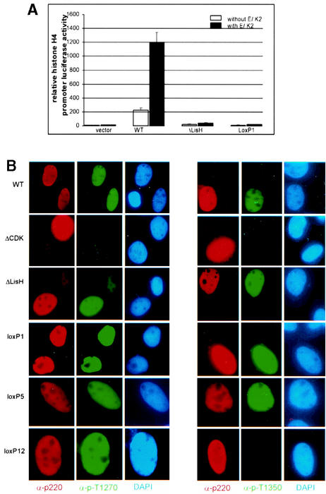 FIG. 7.