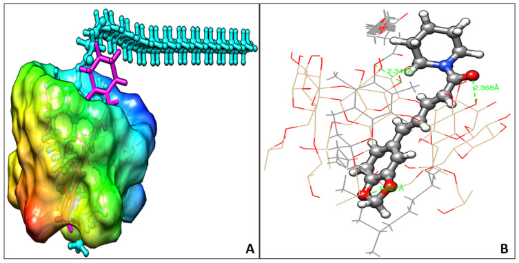 Figure 11