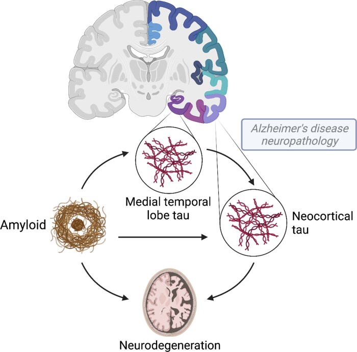 Graphical Abstract