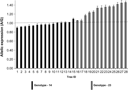 Figure 7.—