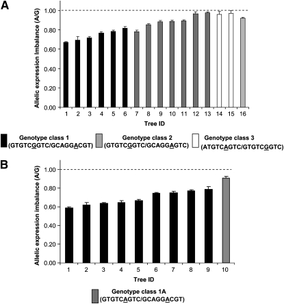 Figure 5.—