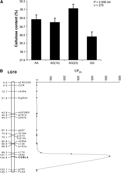 Figure 4.—