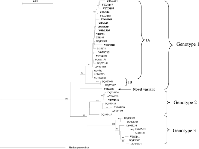 FIG. 2.