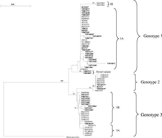 FIG. 1.