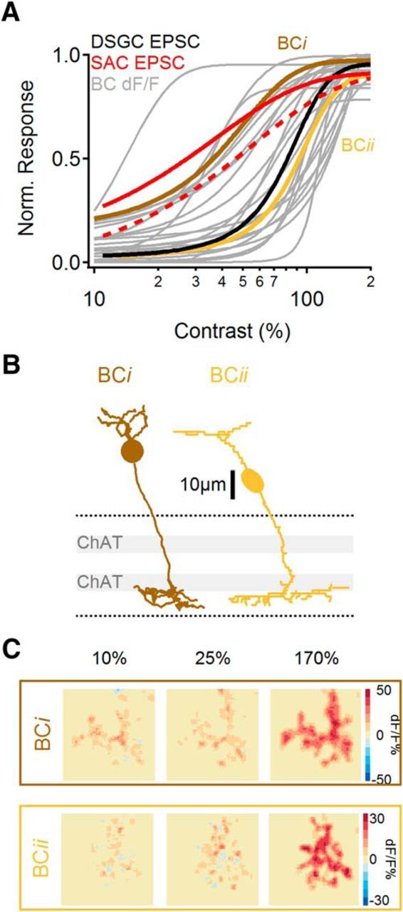 Figure 9.