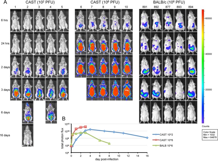 FIG 3