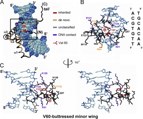 FIGURE 3.