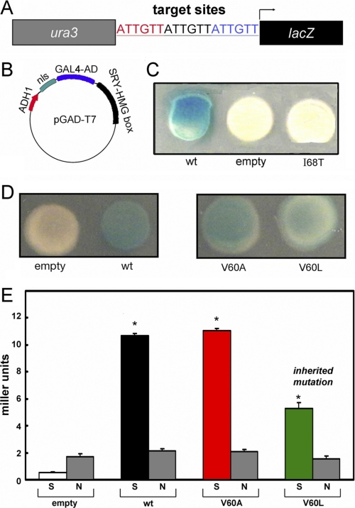 FIGURE 4.