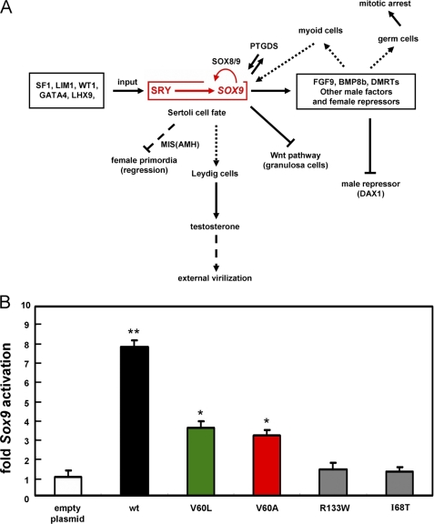 FIGURE 10.