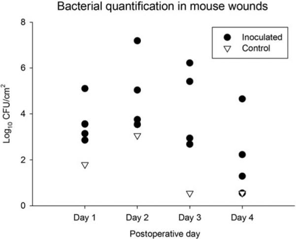 FIGURE 4