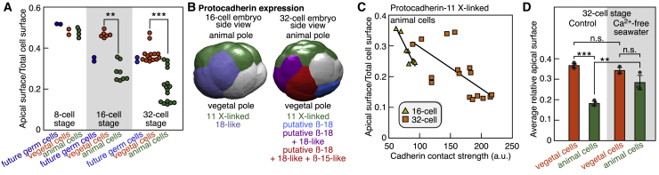 Figure 5