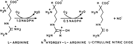 Fig. 5