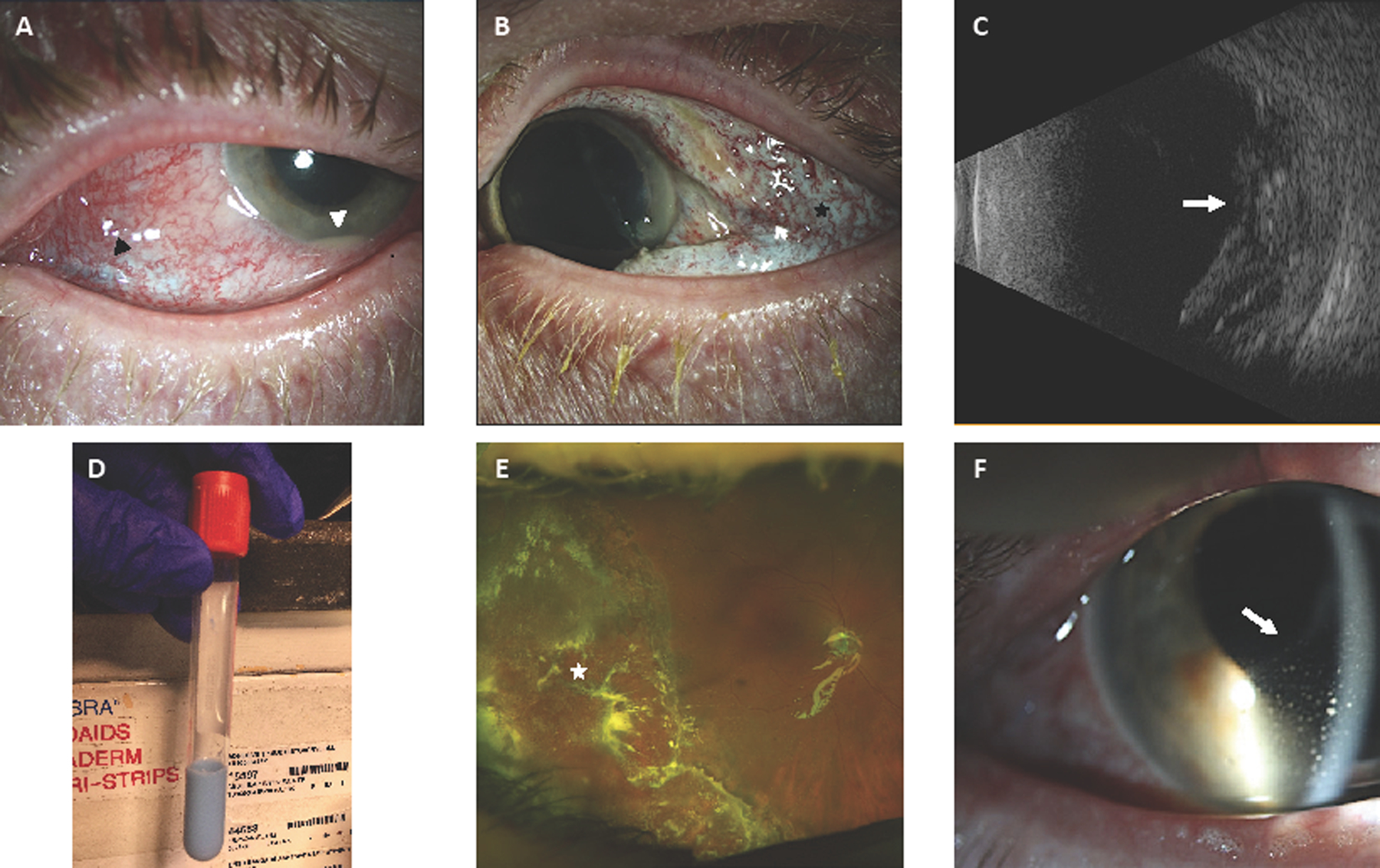 Figure 1: