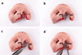 Fig. 4