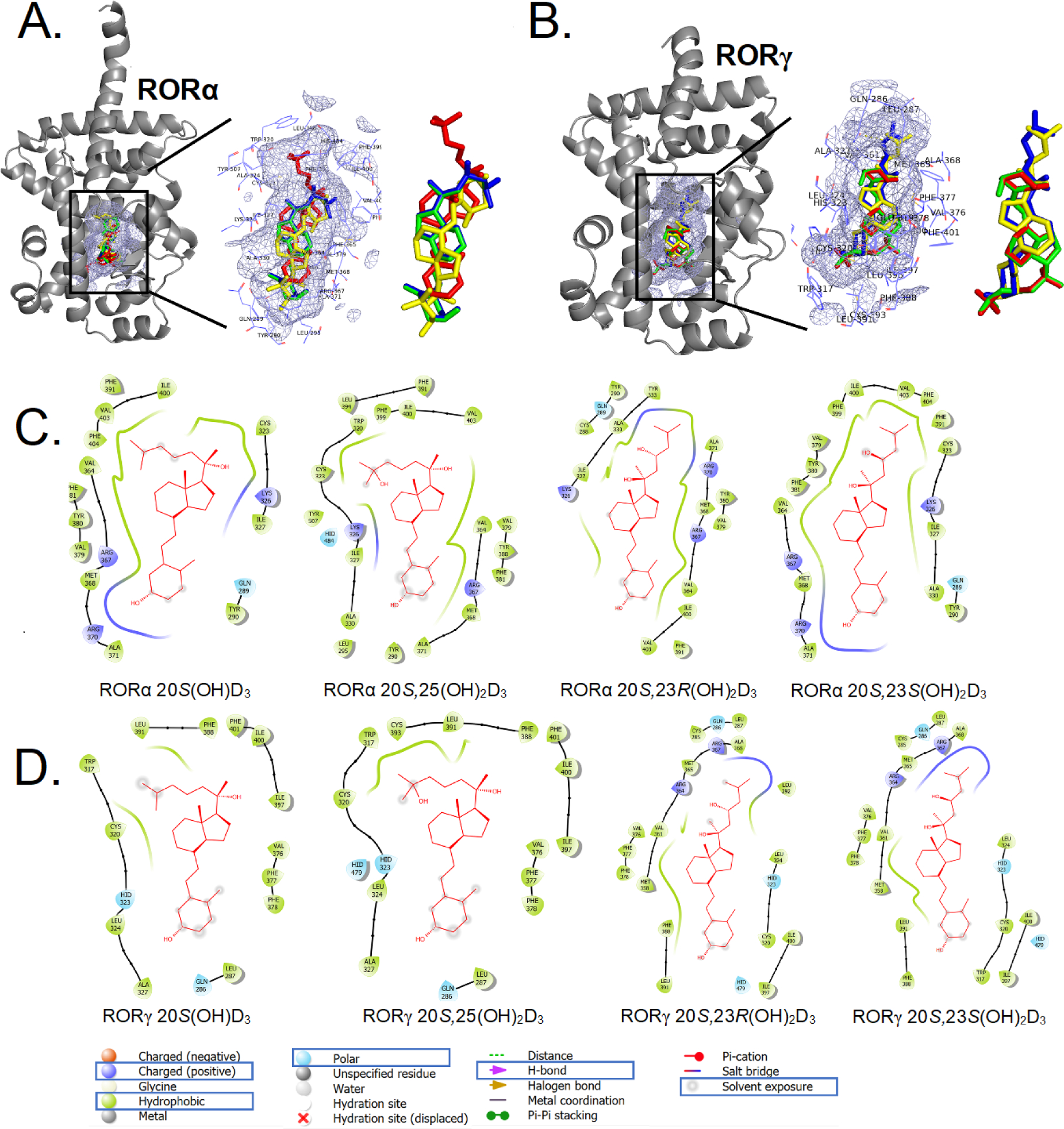 Figure 6c.