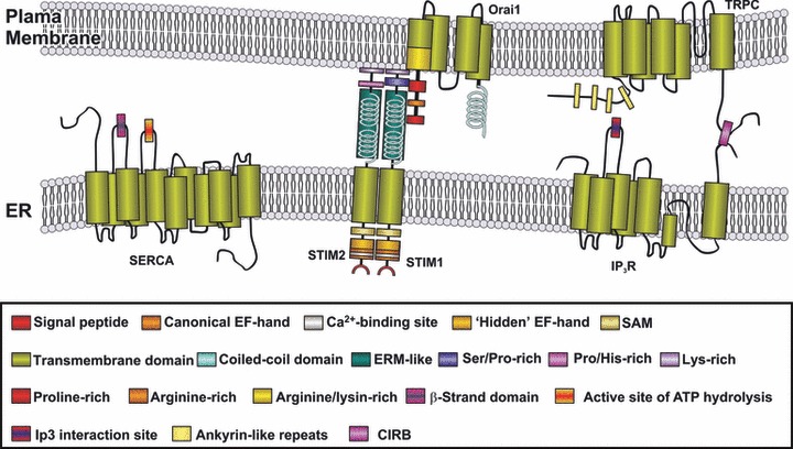 Fig 3