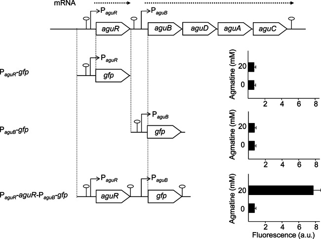 FIG 4