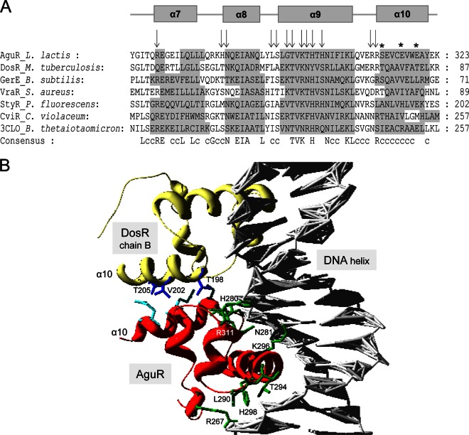 FIG 8