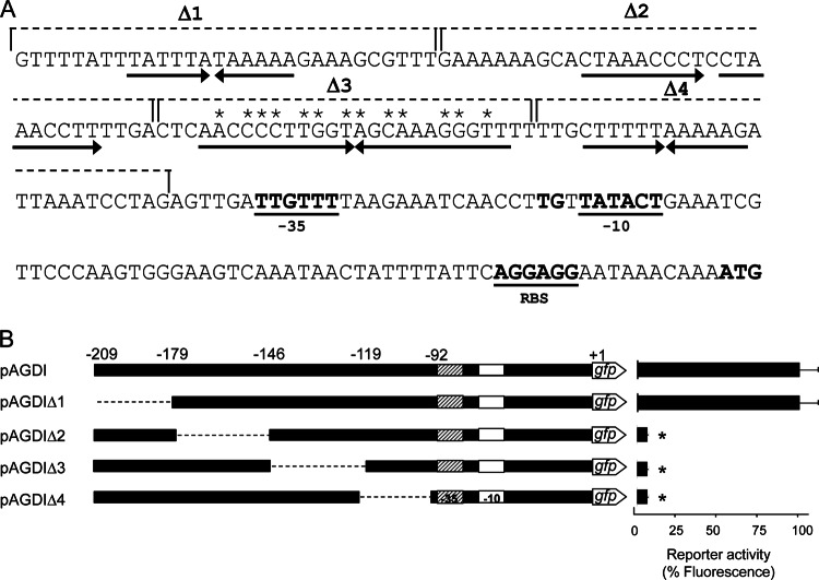 FIG 6