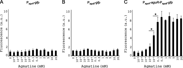 FIG 5