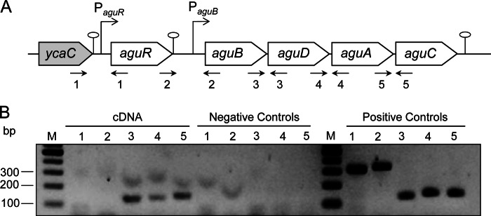 FIG 1