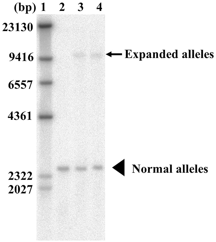 Fig 4