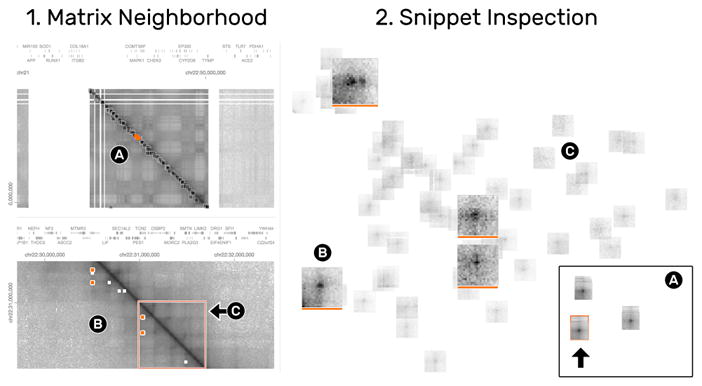 Fig. 13