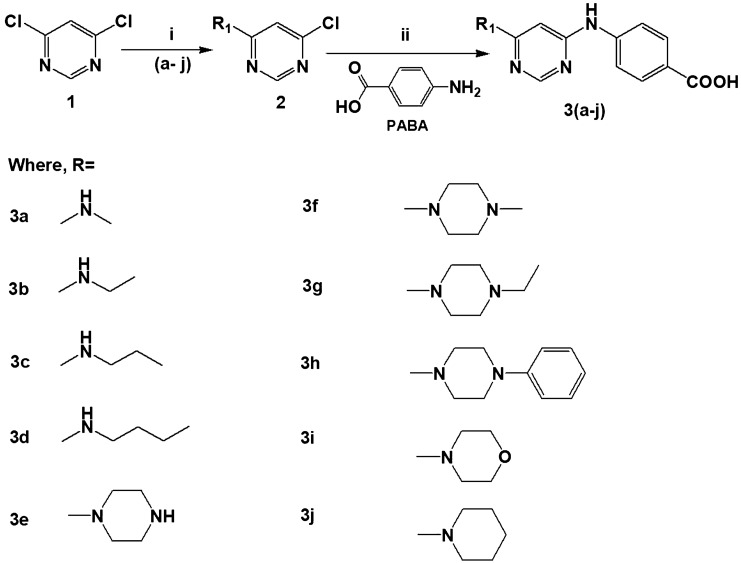 Scheme 1