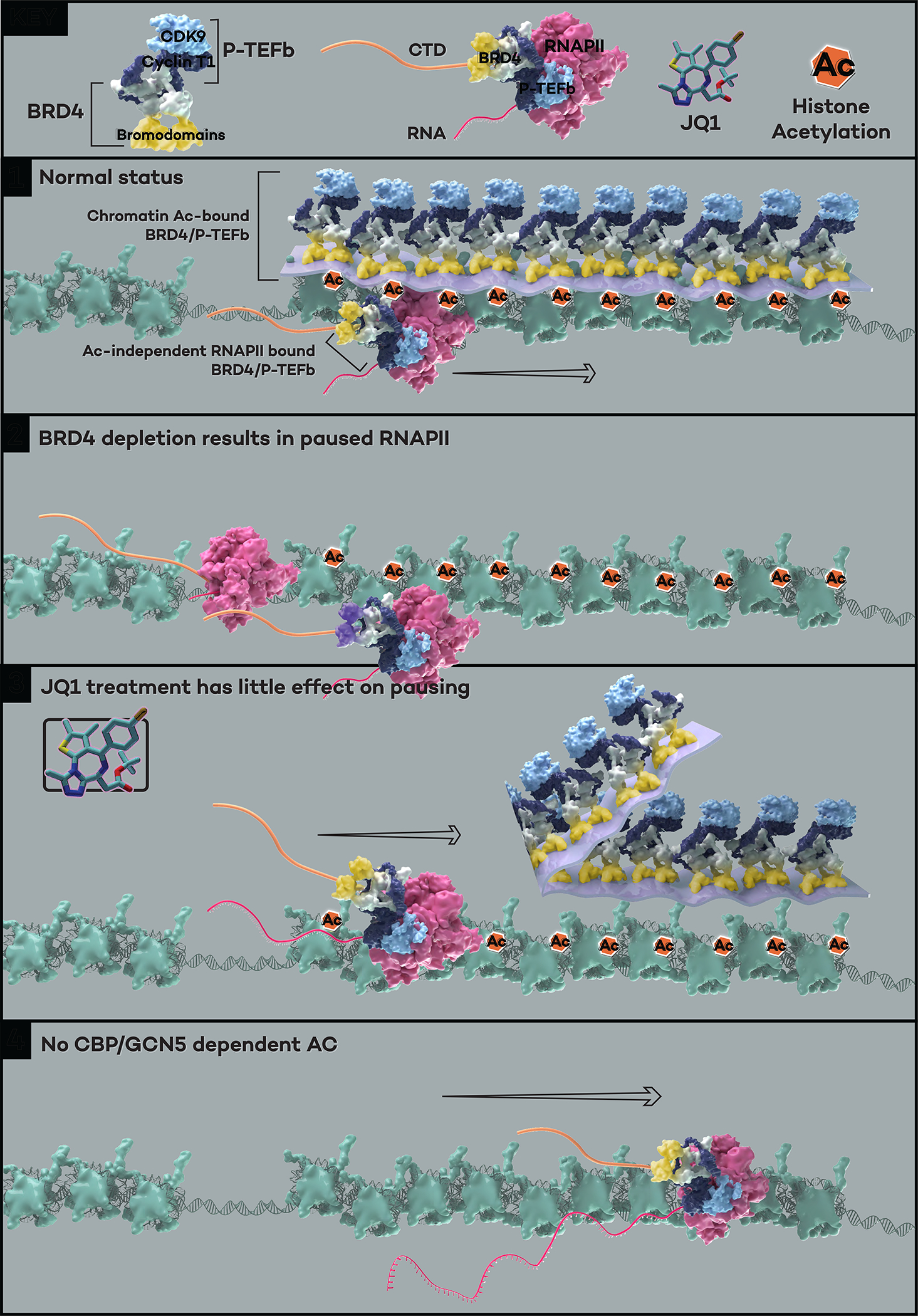 Figure 7.