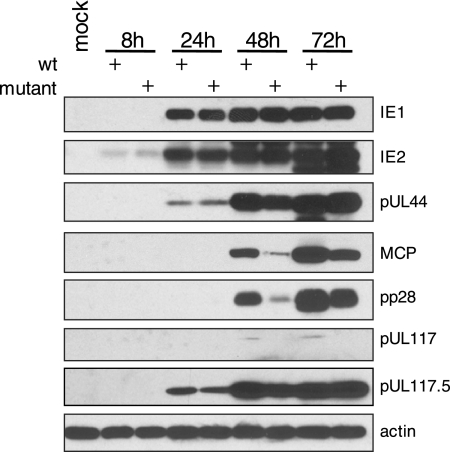 FIG. 10.