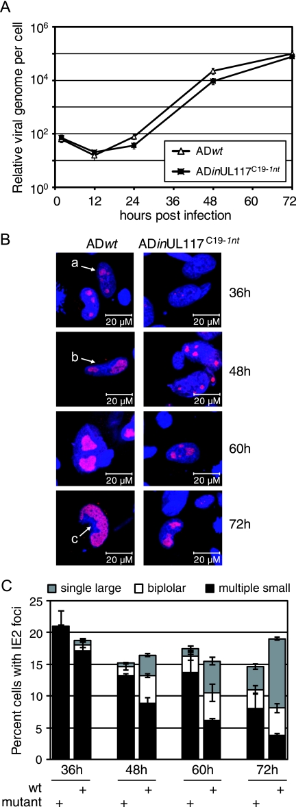 FIG. 9.