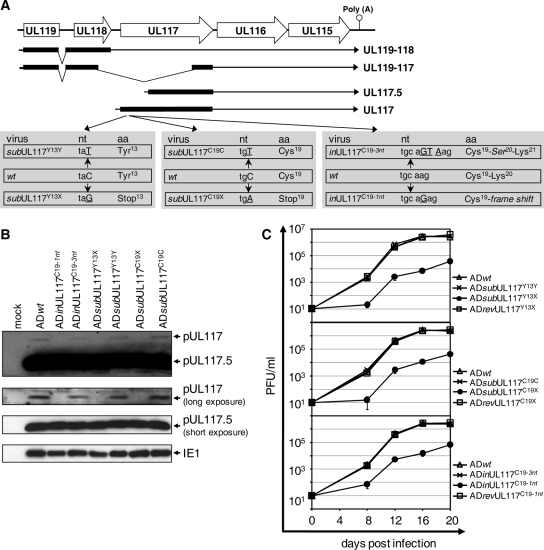 FIG. 6.