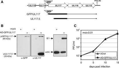 FIG. 7.