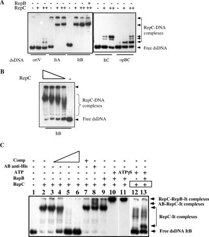 FIG. 3.