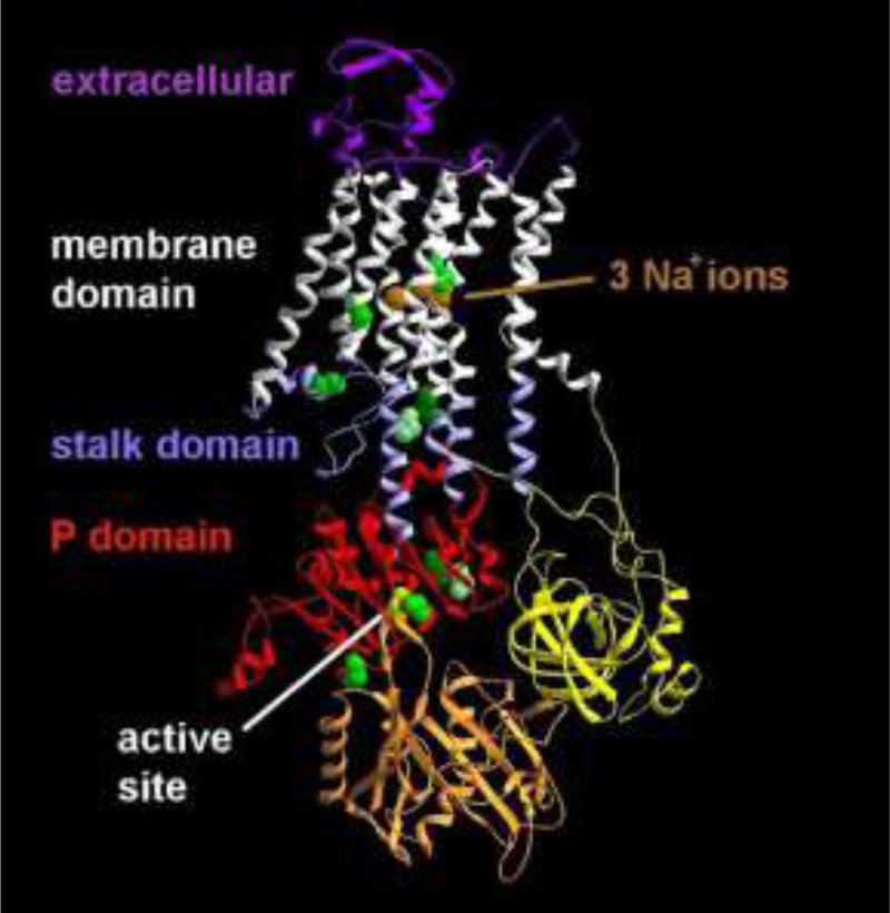 Figure 1: