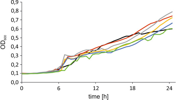 Fig. 3