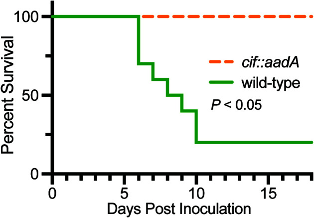 Figure 10