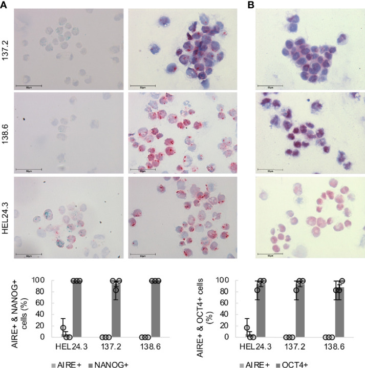 Figure 3