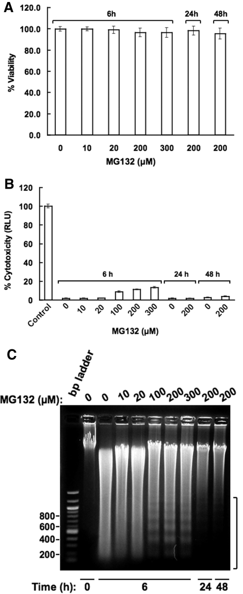 Fig. 10.