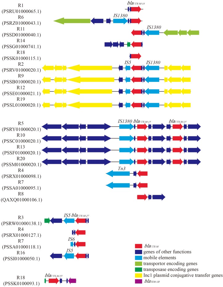 FIGURE 1