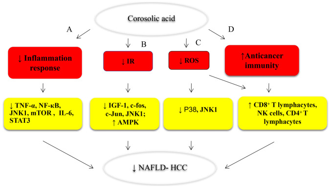Figure 5.