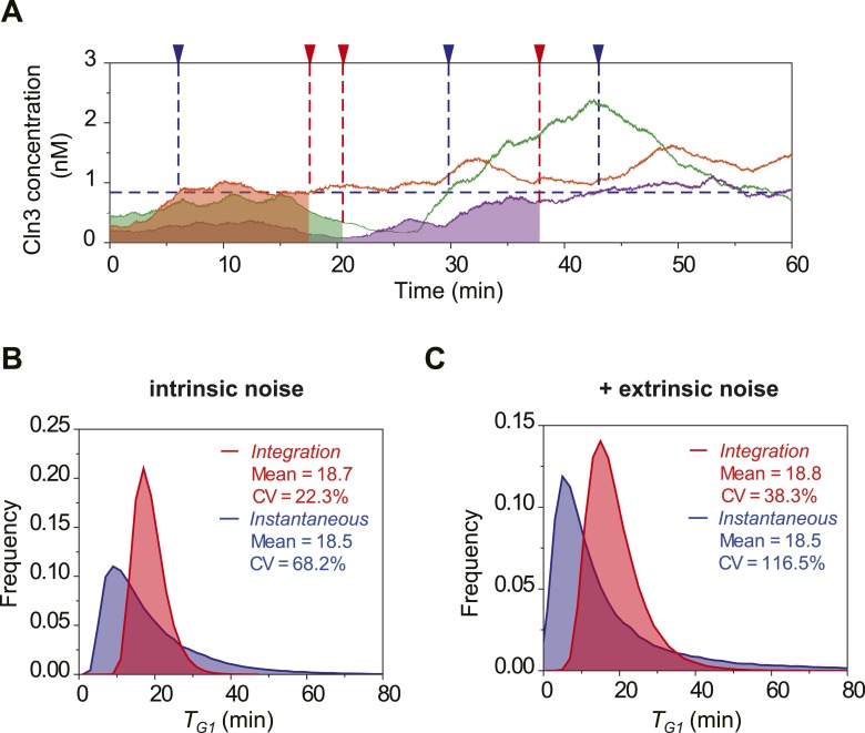 Figure 2—figure supplement 1.