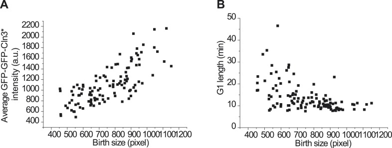 Figure 1—figure supplement 5.