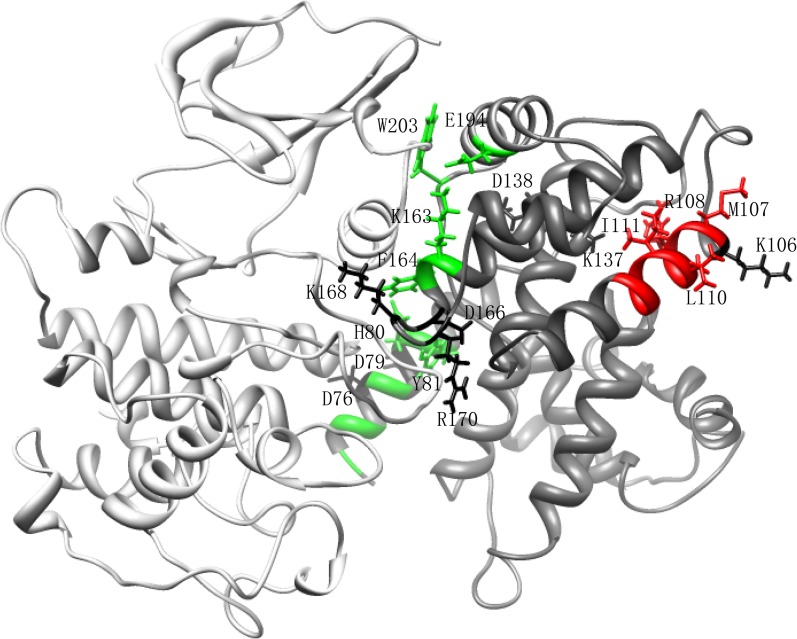 Figure 1—figure supplement 3.