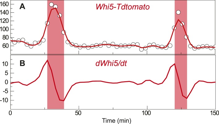 Figure 1—figure supplement 1.