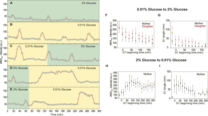 Figure 4—figure supplement 6.