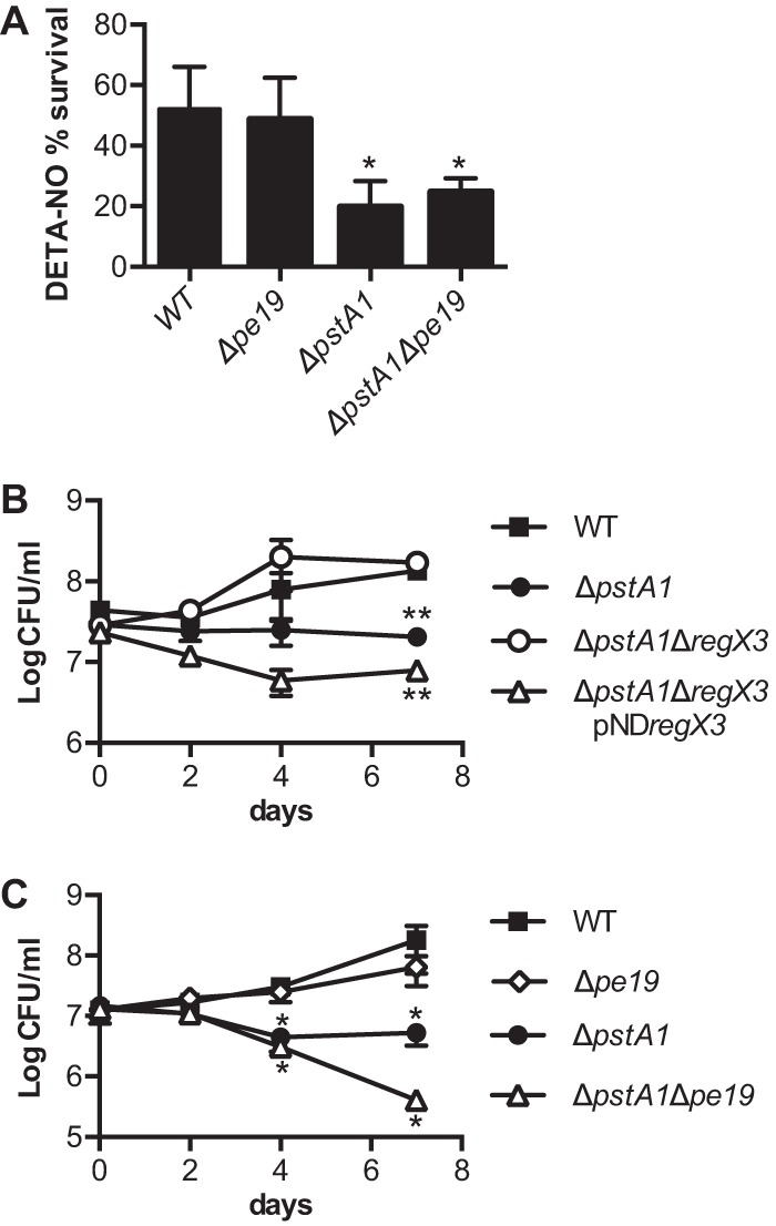 FIG 6