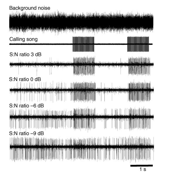 Fig. 9