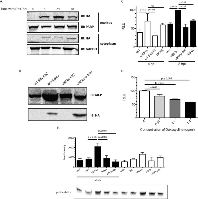 FIG 6